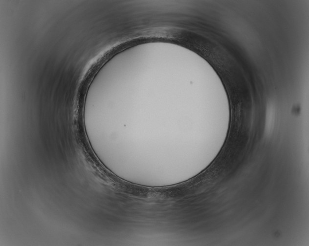 X0000116580388200912312019