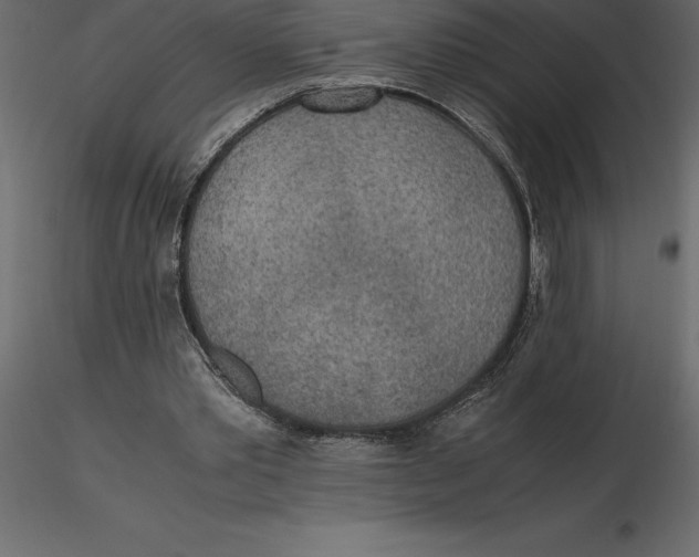 X0000116580389200912312019