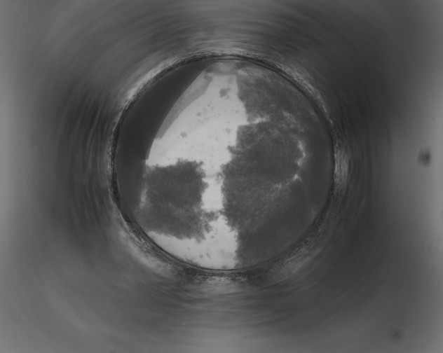 X0000116580390200912312019