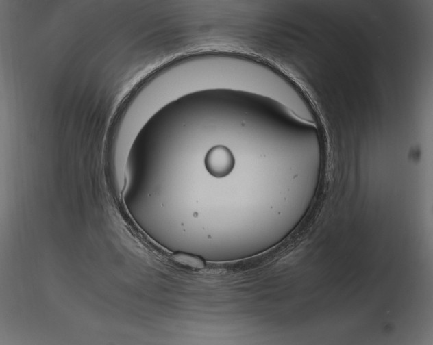 X0000116580391200912312019