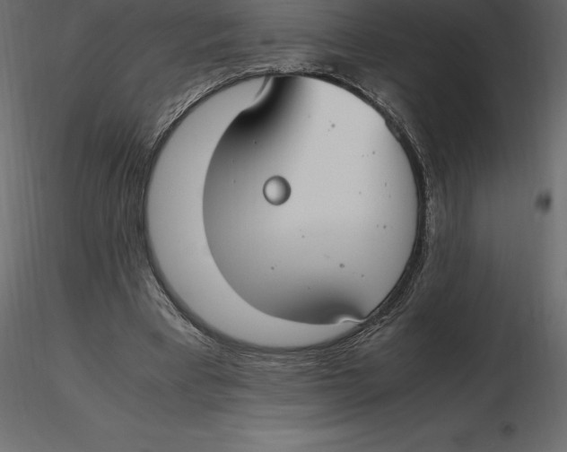 X0000116580393200912312019