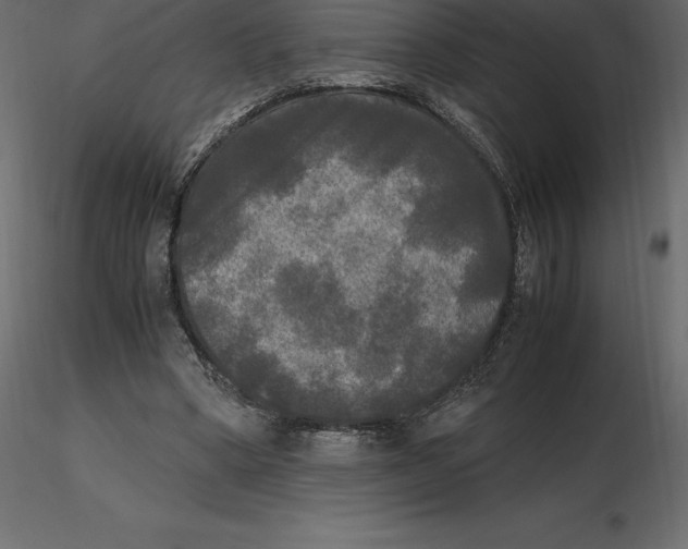 X0000116580394200912312019