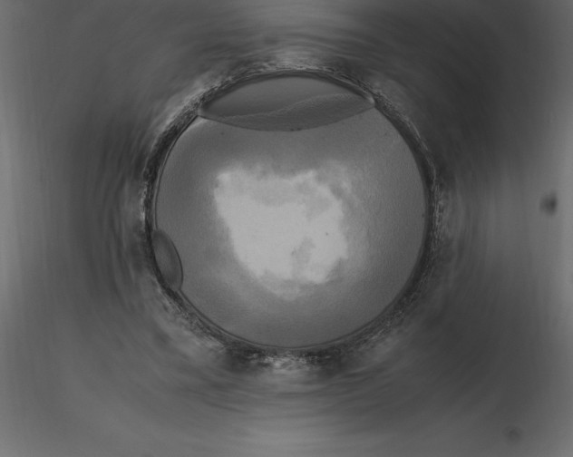 X0000116580395200912312019