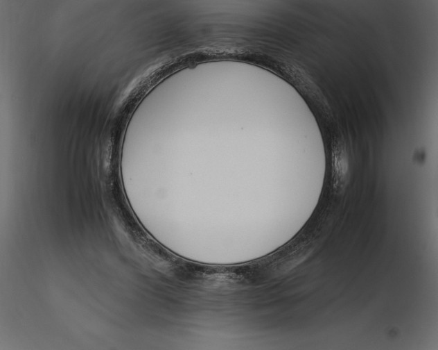 X0000116580396200912312019