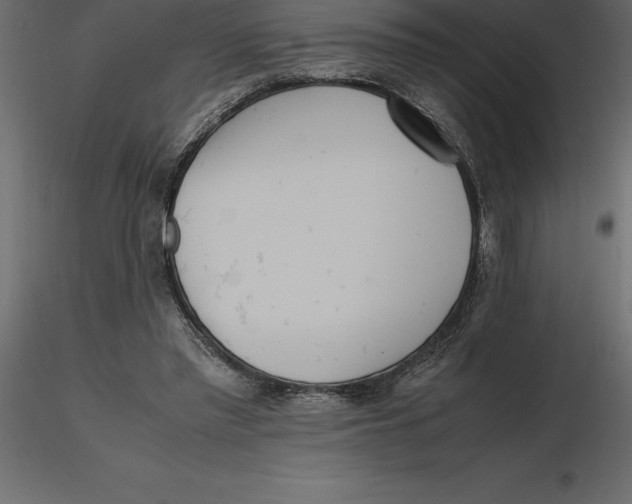 X0000116580397200912312019