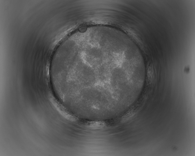 X0000116580398200912312019