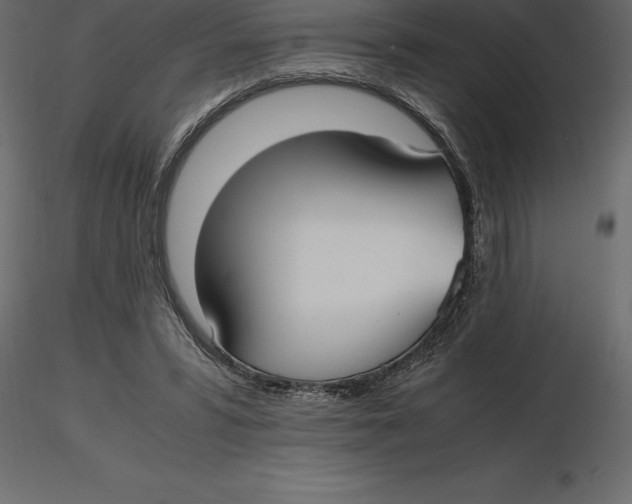 X0000116580399200912312019