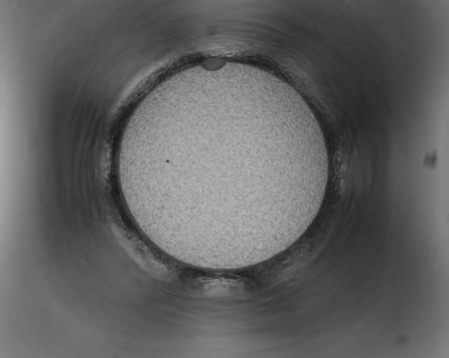 X0000116580400200912312019