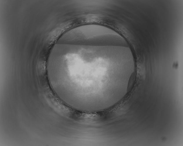 X0000116580401200912312019