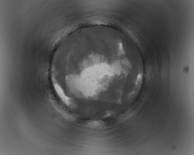 X0000116580402200912312019