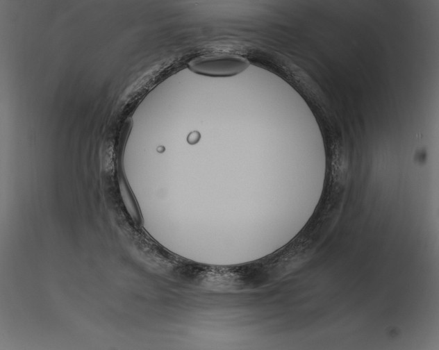 X0000116580403200912312019