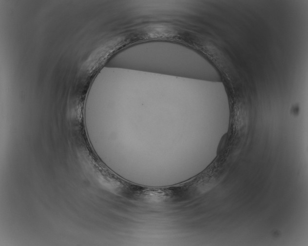 X0000116580405200912312019