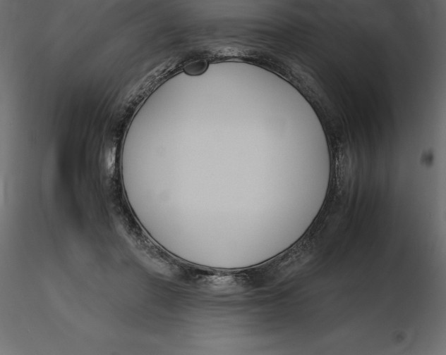 X0000116580406200912312019