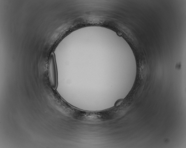 X0000116580407200912312019