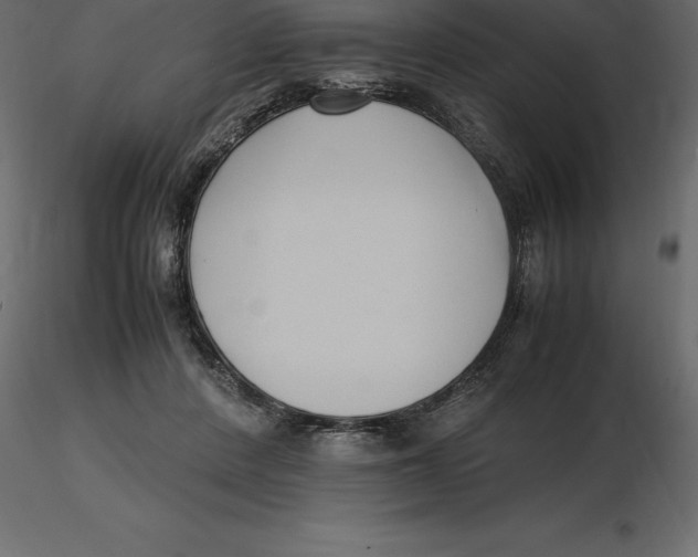 X0000116580408200912312019