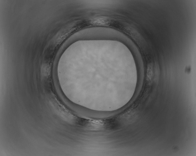 X0000116580409200912312019