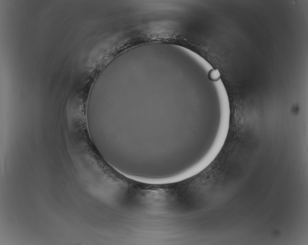 X0000116580411200912312019