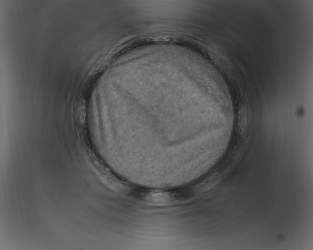 X0000116580413200912312019