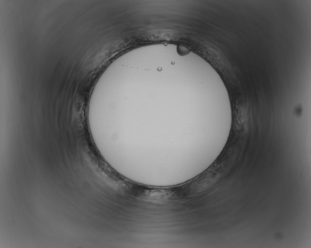 X0000116580414200912312019