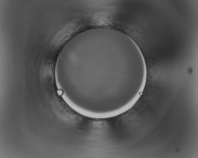 X0000116580415200912312019