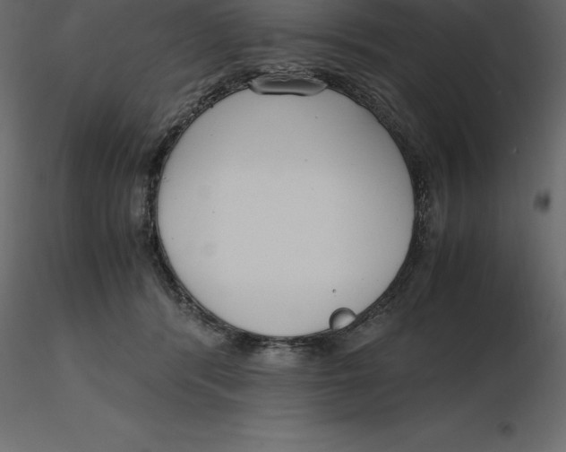 X0000116580416200912312019