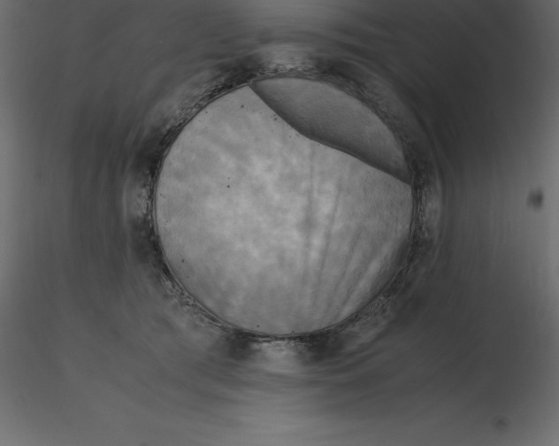 X0000116580417200912312019