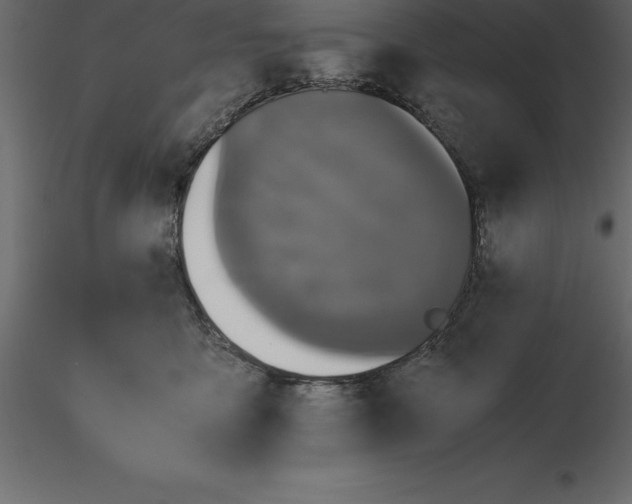 X0000116580419200912312019