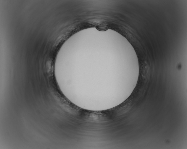 X0000116580420200912312018