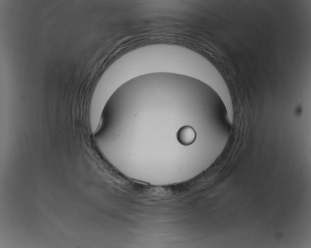 X0000116580421200912312018