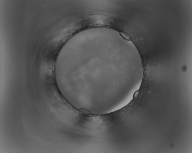 X0000116580423200912312018