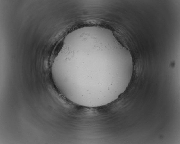 X0000116580424200912312018