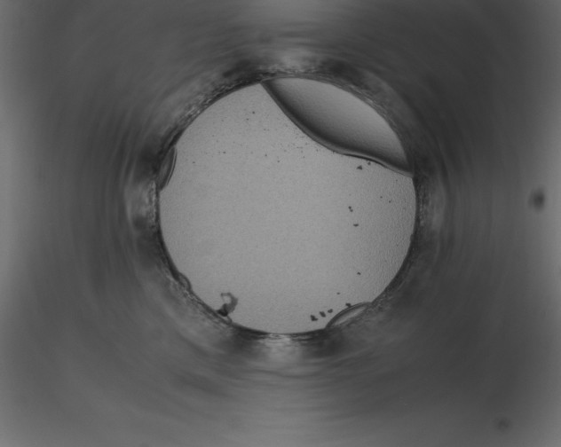 X0000116580425200912312018