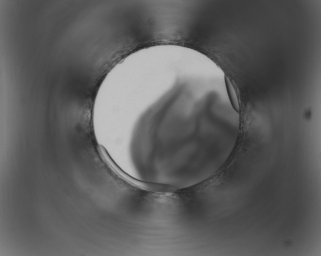 X0000116580427200912312018