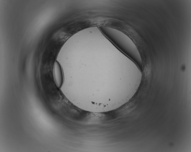 X0000116580429200912312018