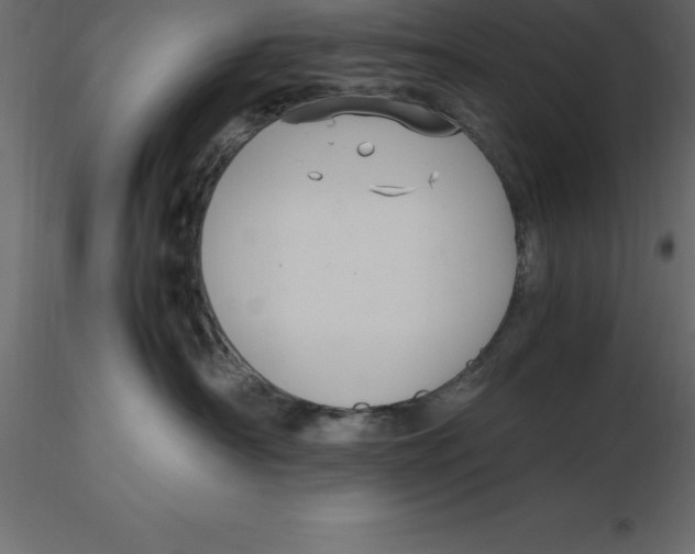 X0000116580430200912312018