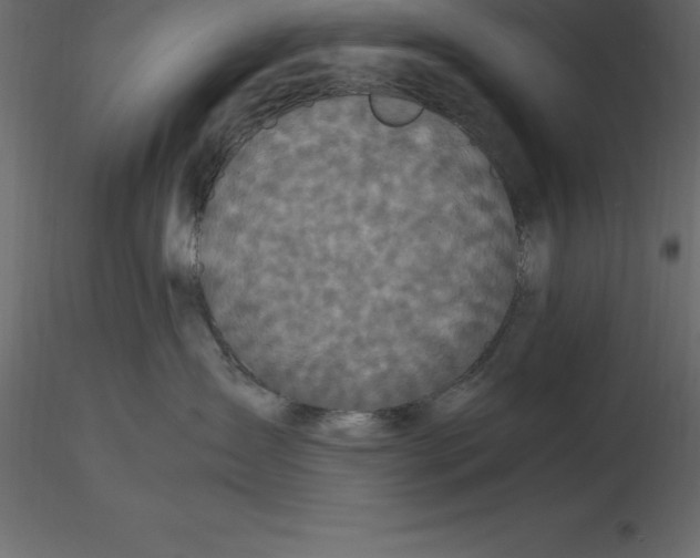 X0000116580431200912312018