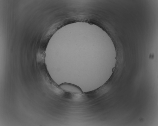 X0000116580432200912312018