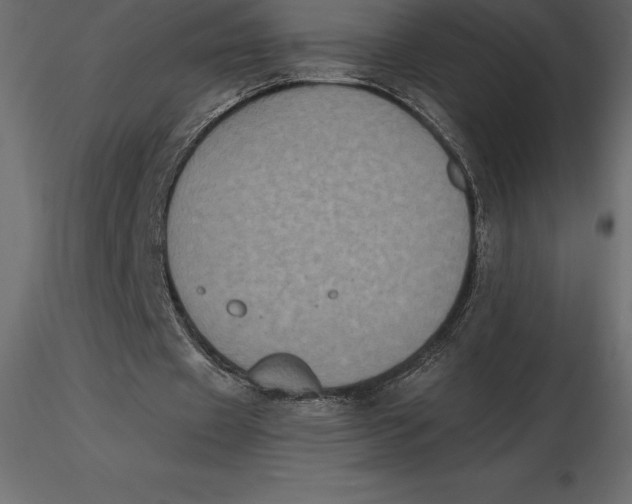 X0000116580433200912312018