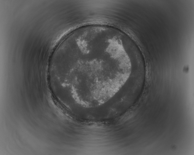 X0000116580434200912312018