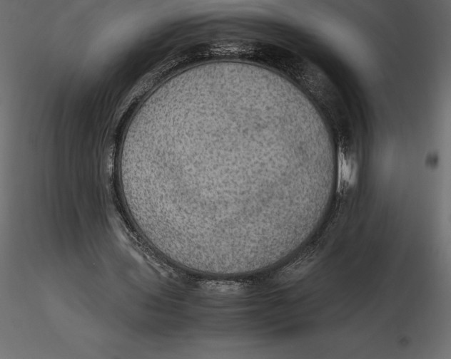 X0000116580435200912312018