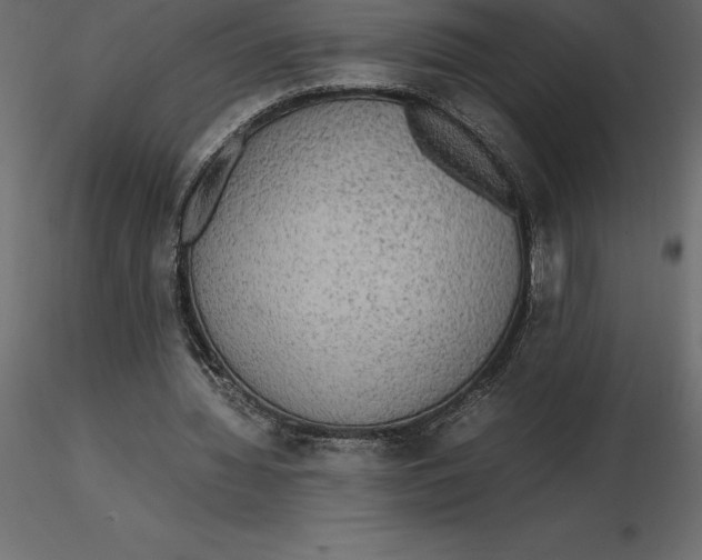 X0000116580436200912312018