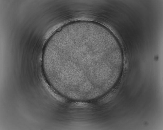 X0000116580437200912312018