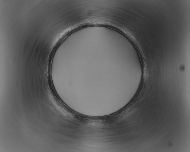 X0000116580438200912312018