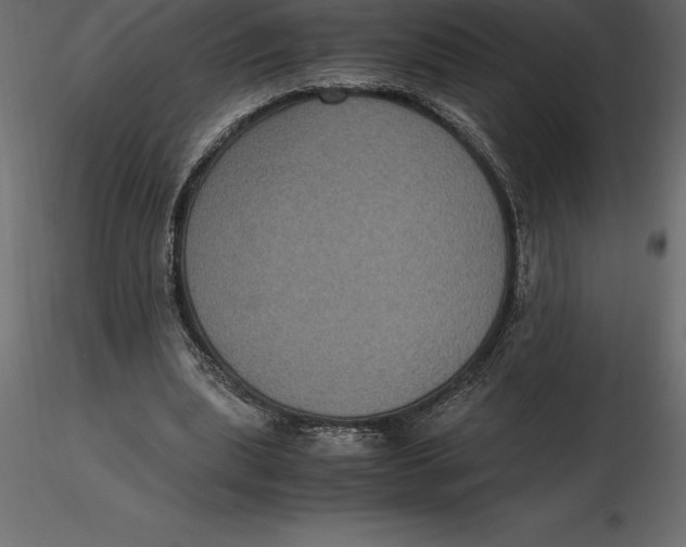 X0000116580439200912312018