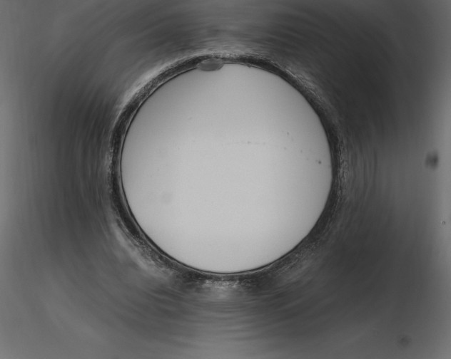 X0000116580440200912312018