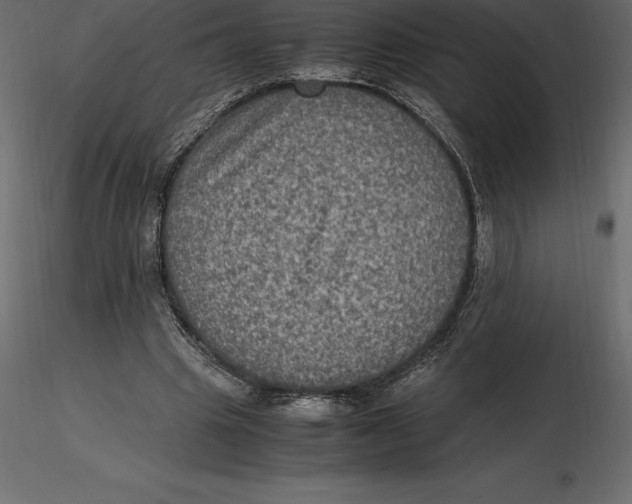 X0000116580441200912312018