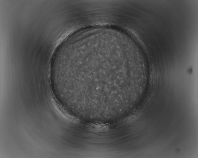 X0000116580443200912312018