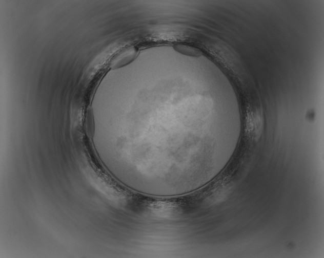 X0000116580444200912312018