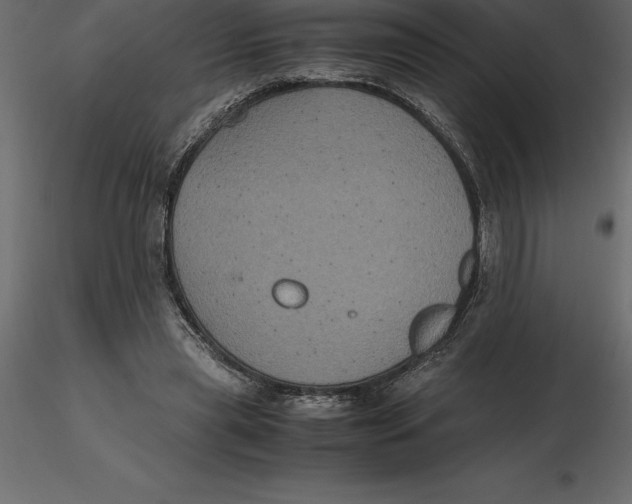 X0000116580445200912312018