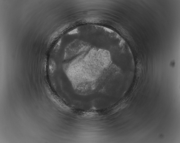 X0000116580446200912312018